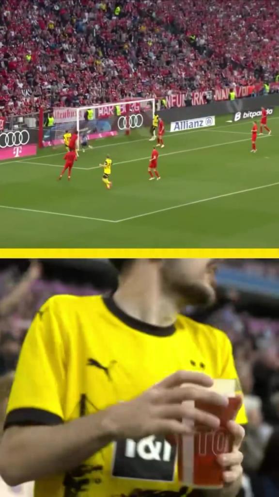 勇者無(wú)懼！這是真多特球迷！在拜仁球迷區(qū)一個(gè)人肆意慶祝！